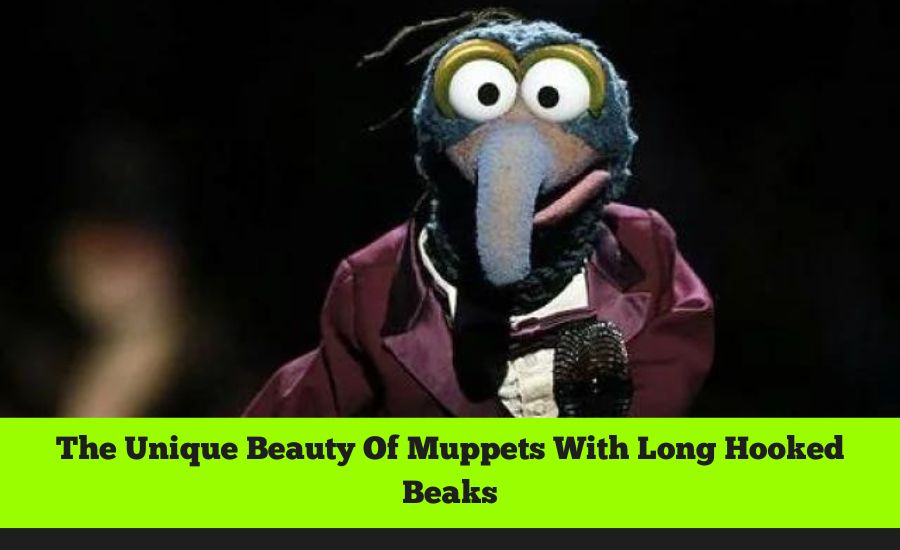 Muppets With Long Hooked Beaks