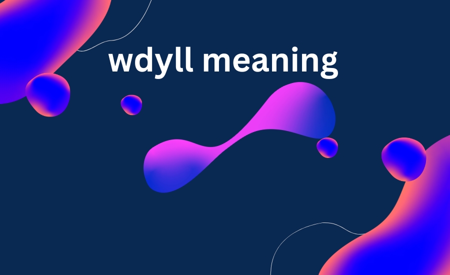 wdyll meaning