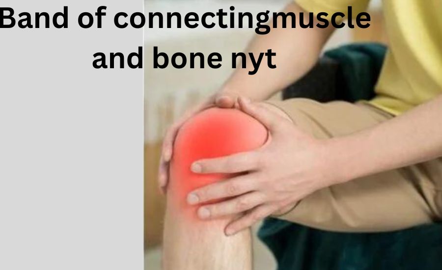 band of tissue connecting muscle and bone nyt