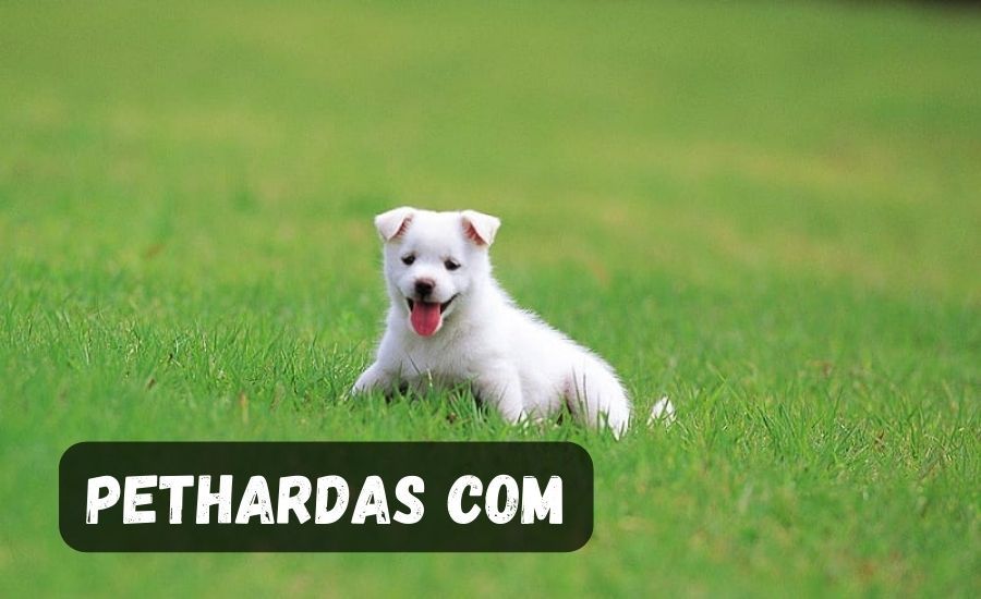 pethardas.com