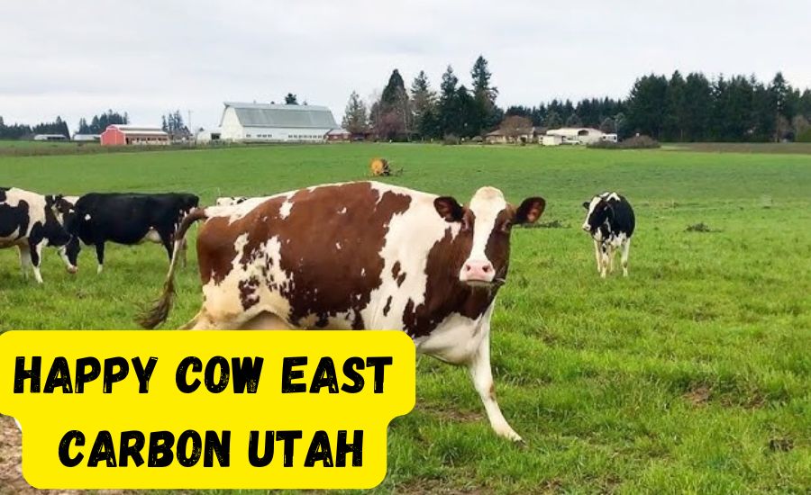 happy cow east carbon utah