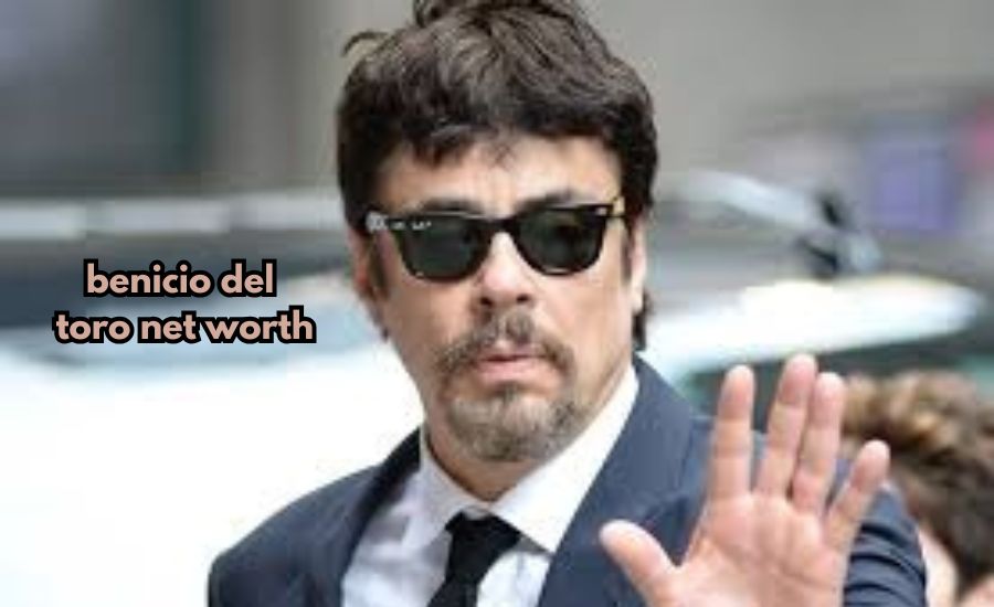 Benicio del Toro net worth 