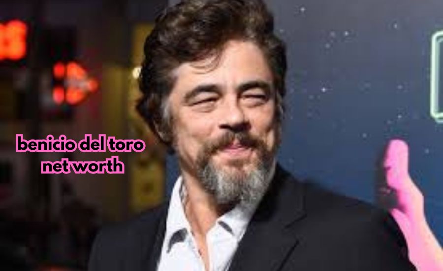 Benicio del Toro net worth 