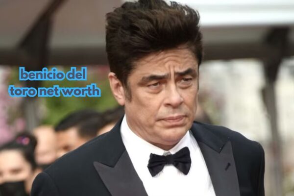 Benicio del Toro net worth