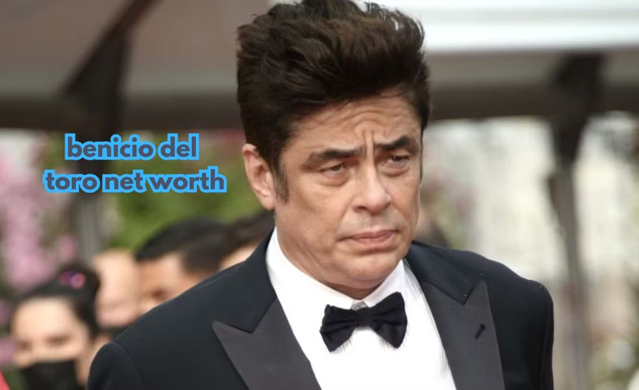 Benicio del Toro net worth