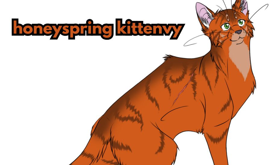 honeyspring kittenvy