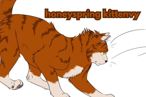 honeyspring kittenvy