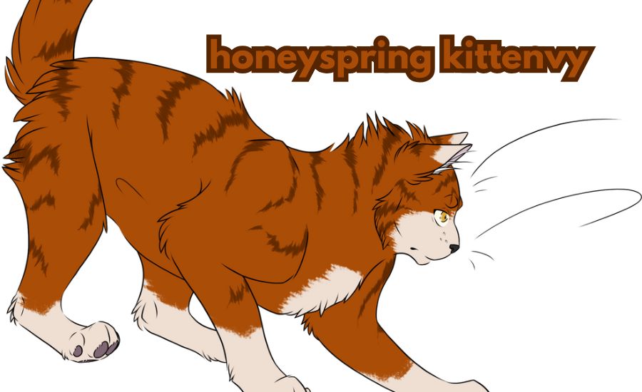 honeyspring kittenvy