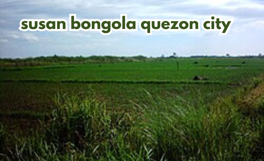 susan bongola quezon city