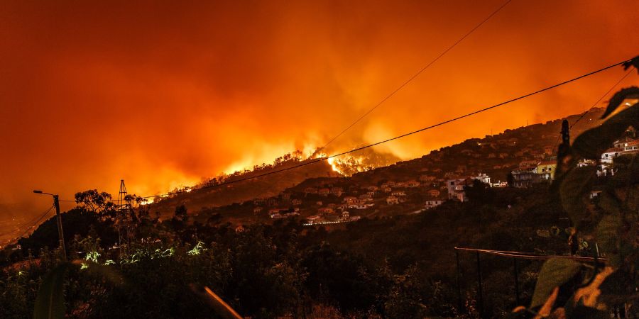 Malibu Fire