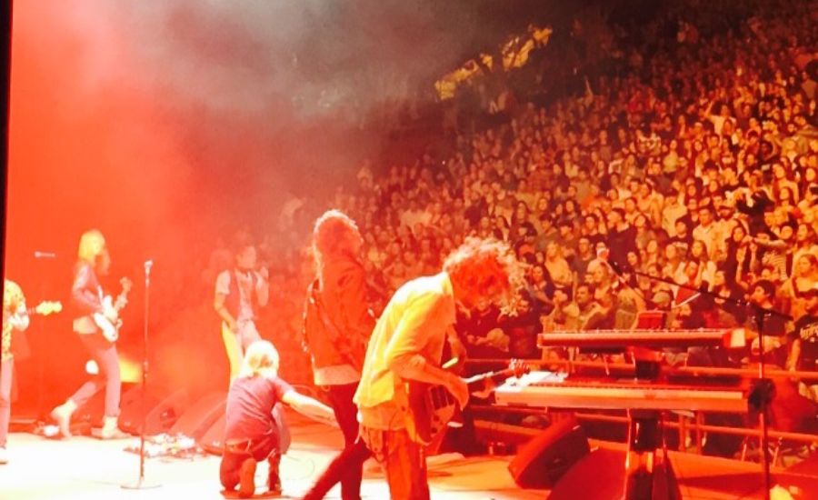 cage the elephant red rocks